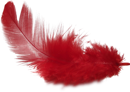 Red Feather PNG Clipart Background