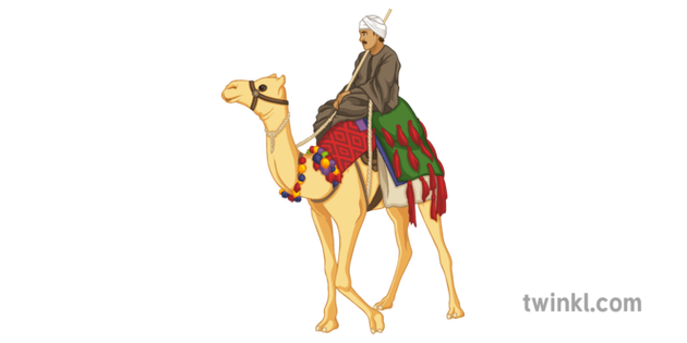 Riding Camel Transparent PNG
