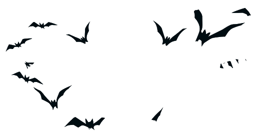 Scary Bat Flying Transparent PNG