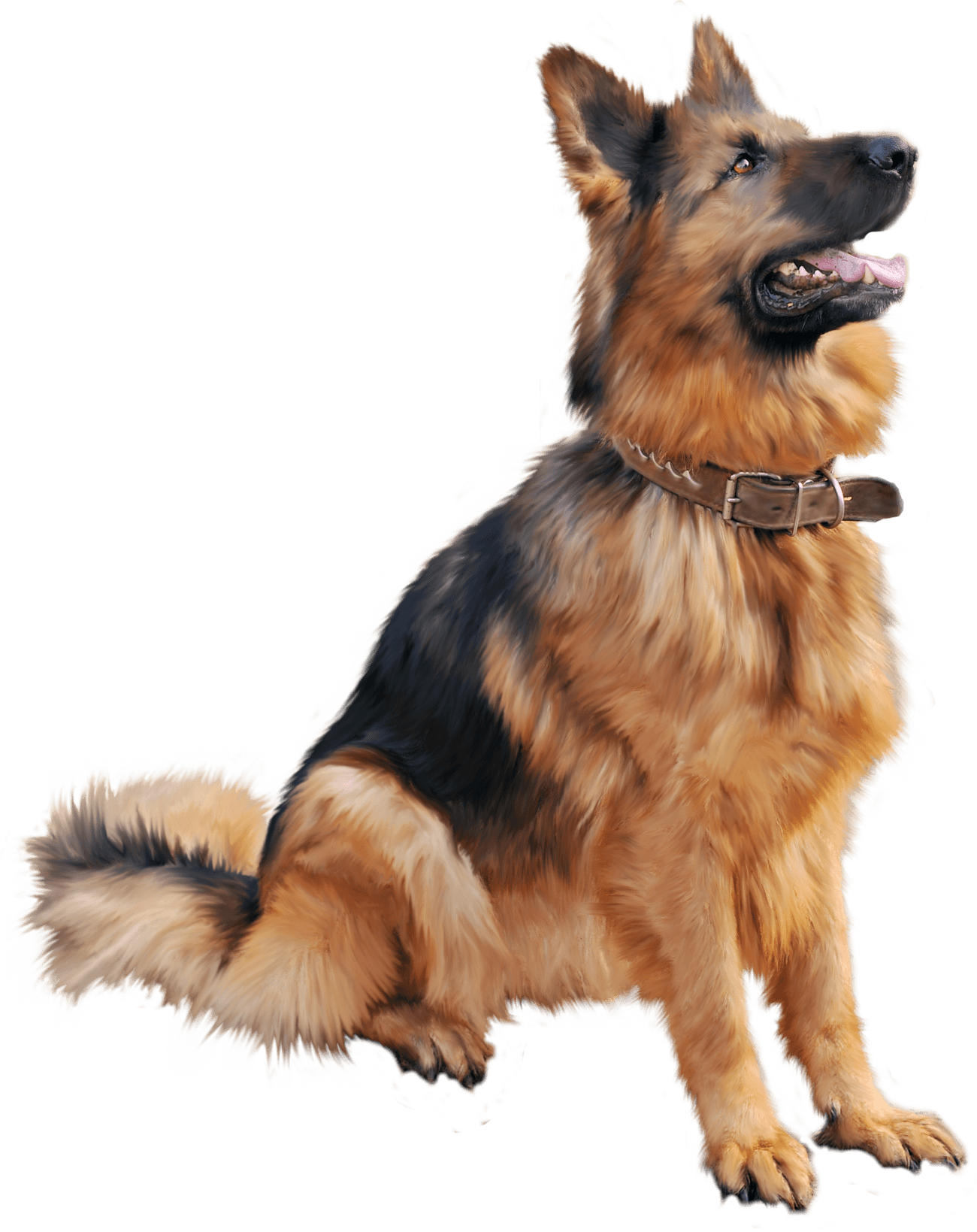 Security Dog Transparent PNG
