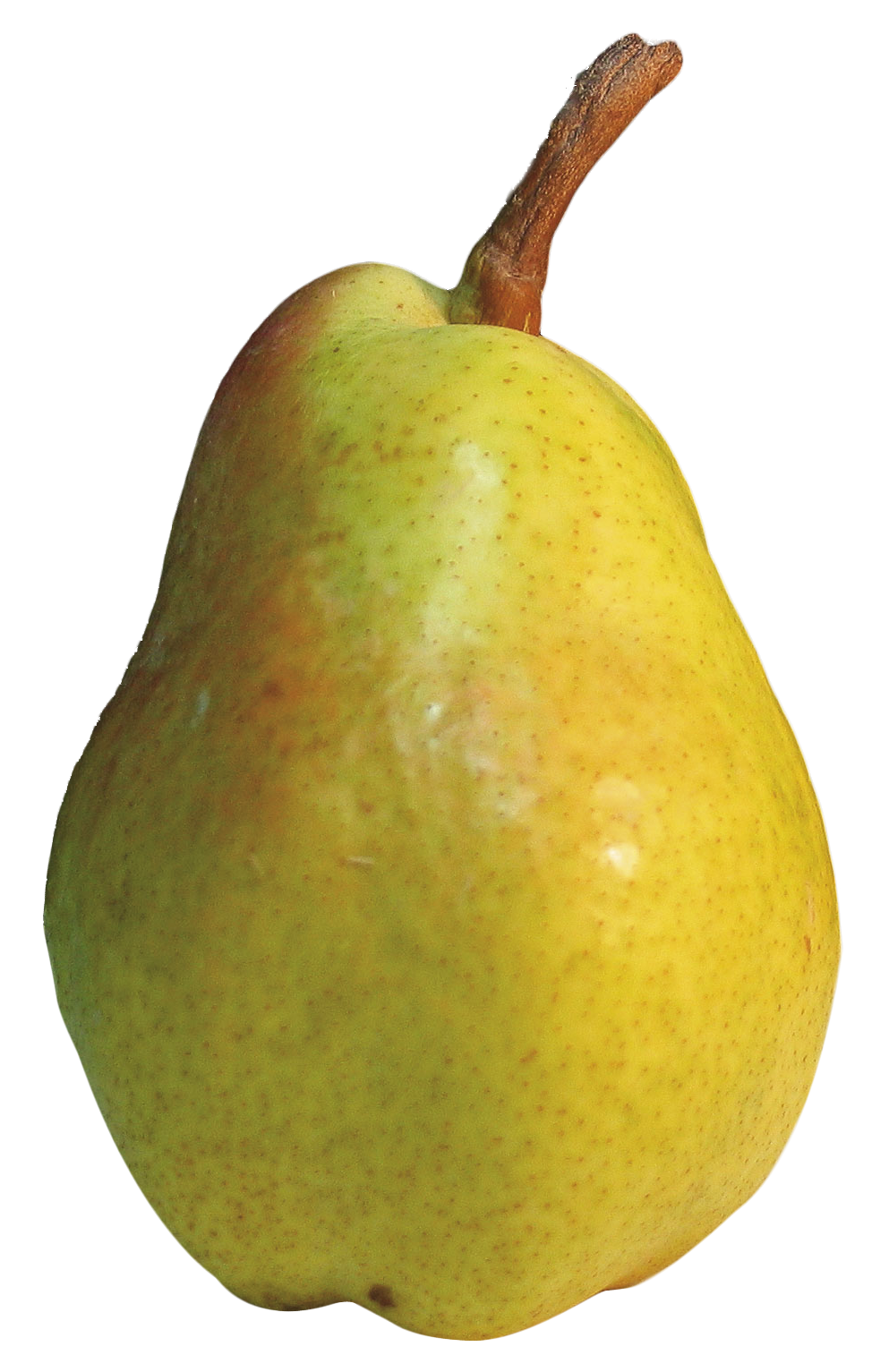 Shining Asian Pear Transparent PNG