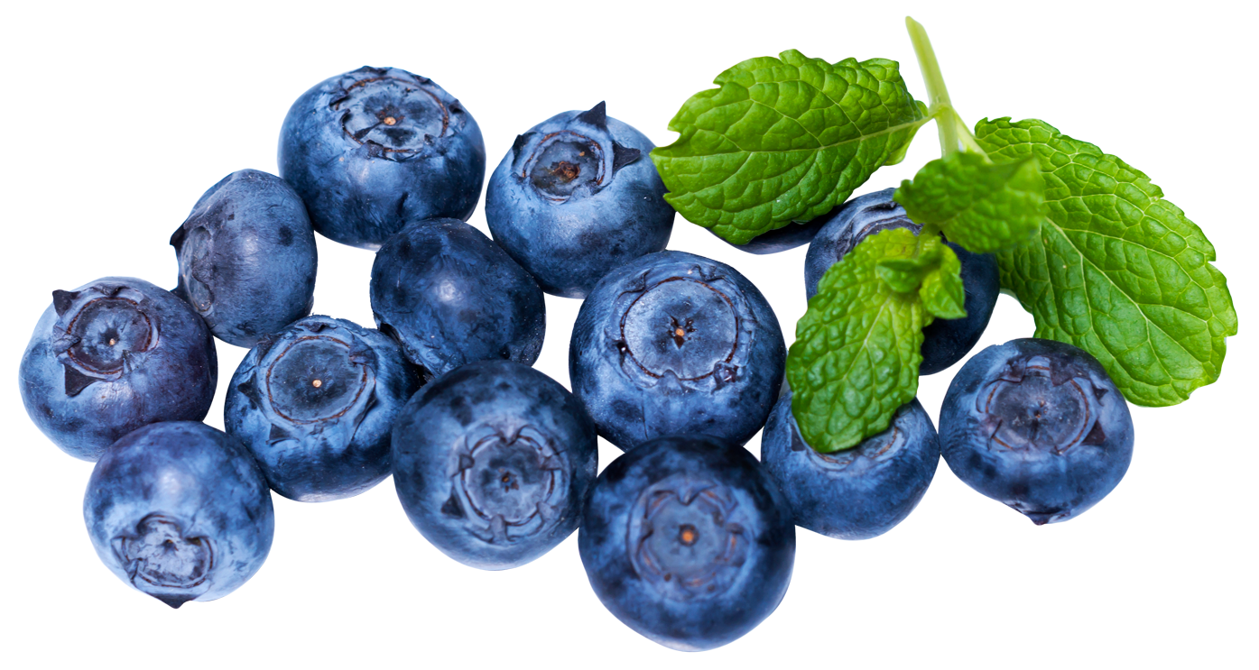 Shining Blueberries PNG