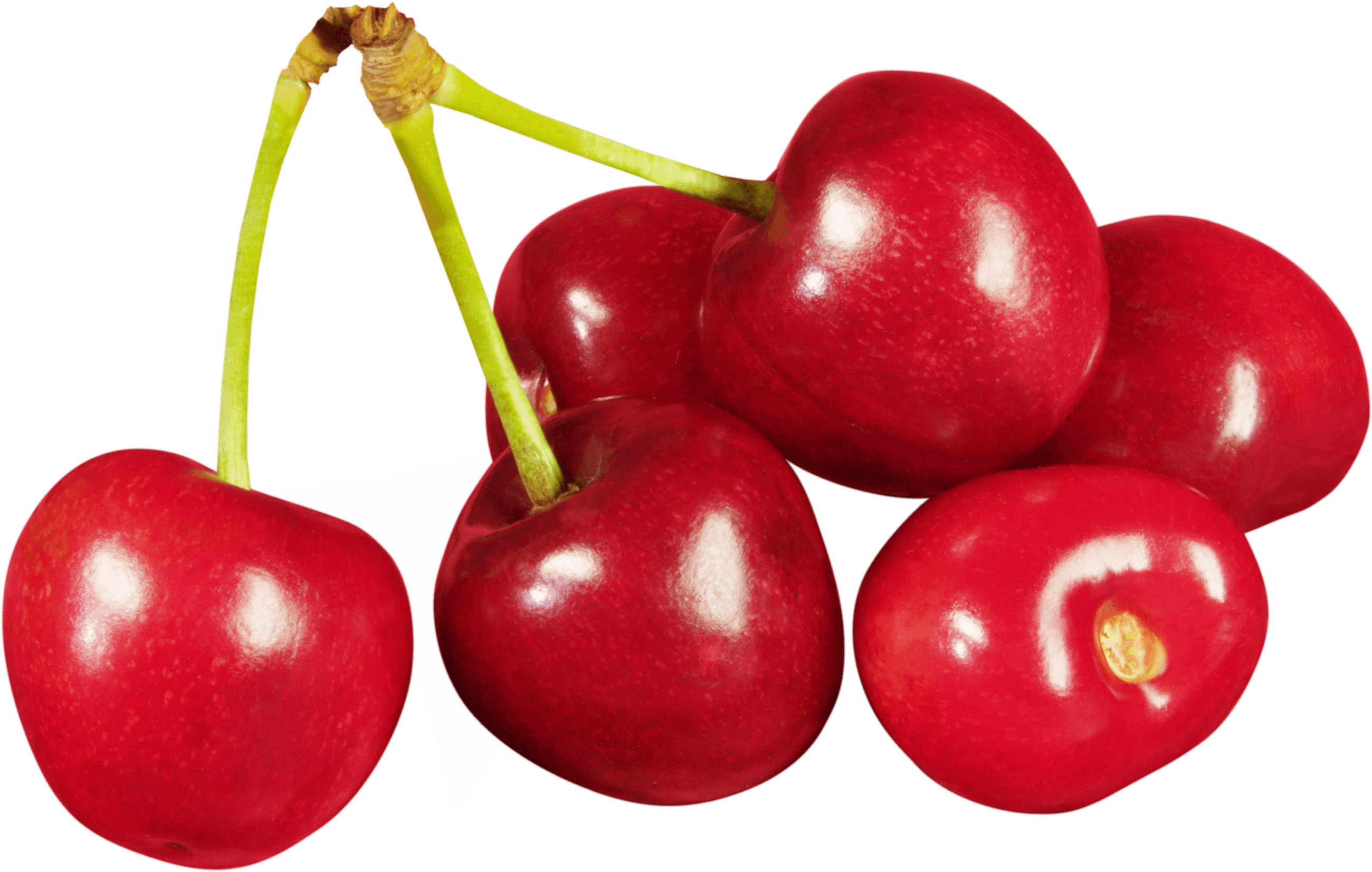 Shining Cherries PNG