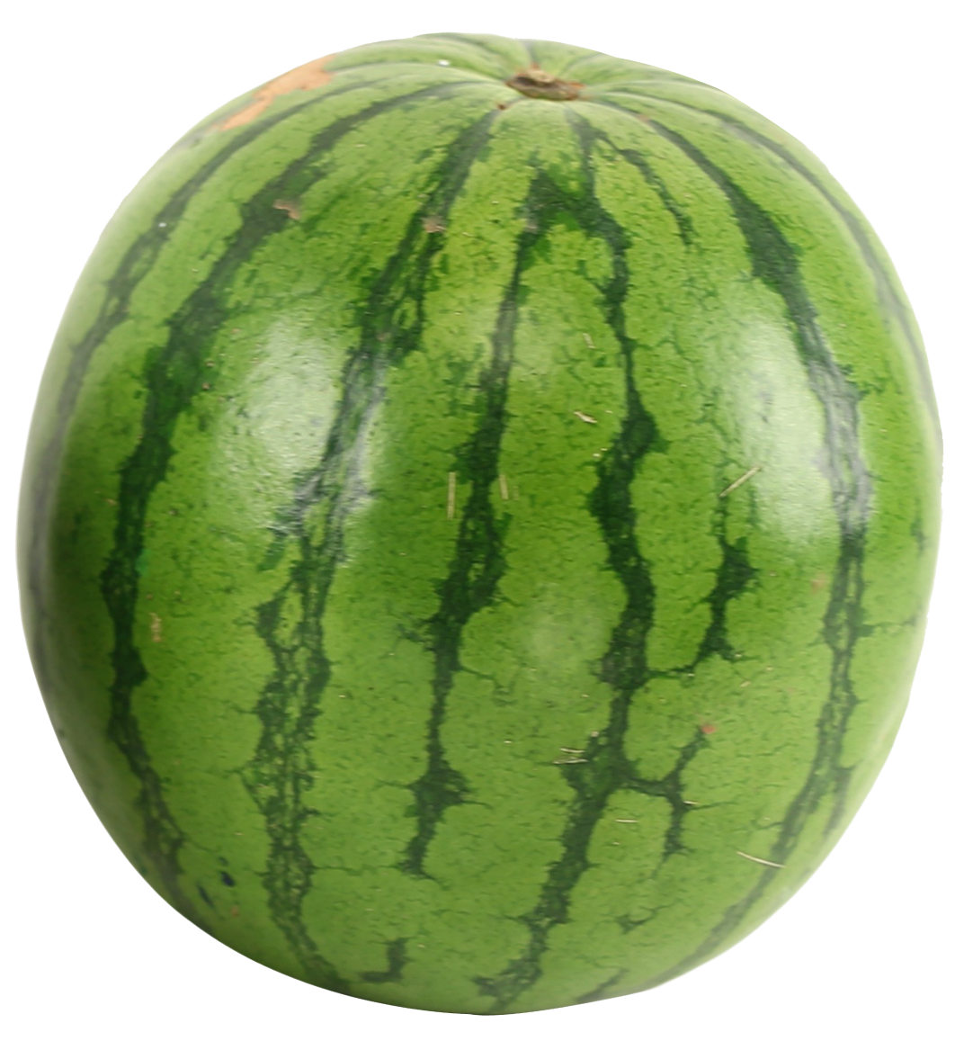 Shining Green Watermelon PNG
