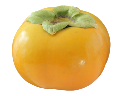 Shining Yellow Persimmon Transparent PNG