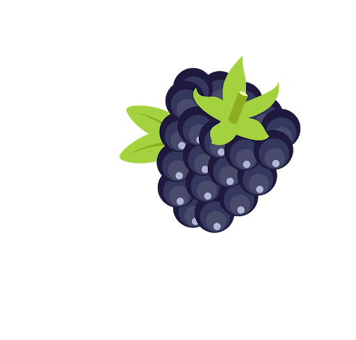 Single Blackberry Fruit Transparent Background