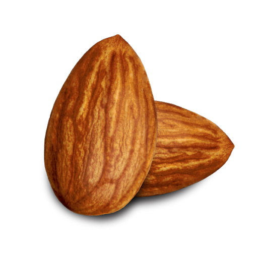Single Brown Almond Transparent PNG