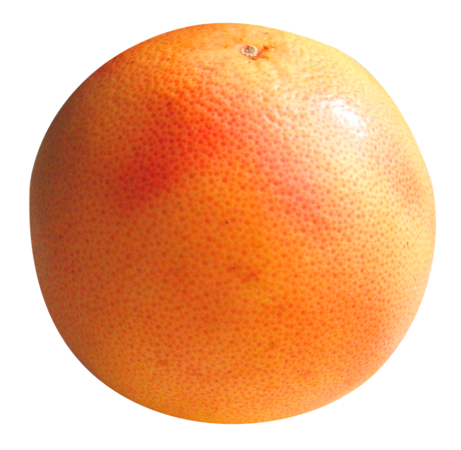 Single Grapefruit PNG