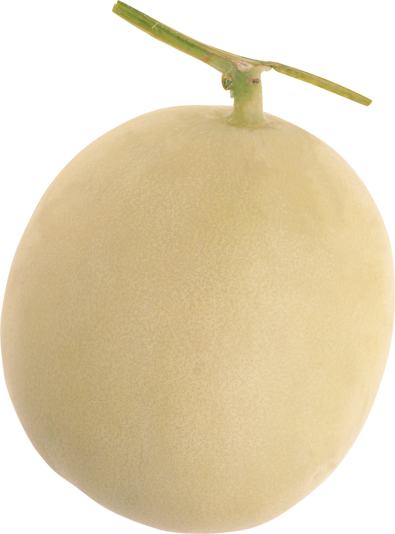 Single Melon PNG