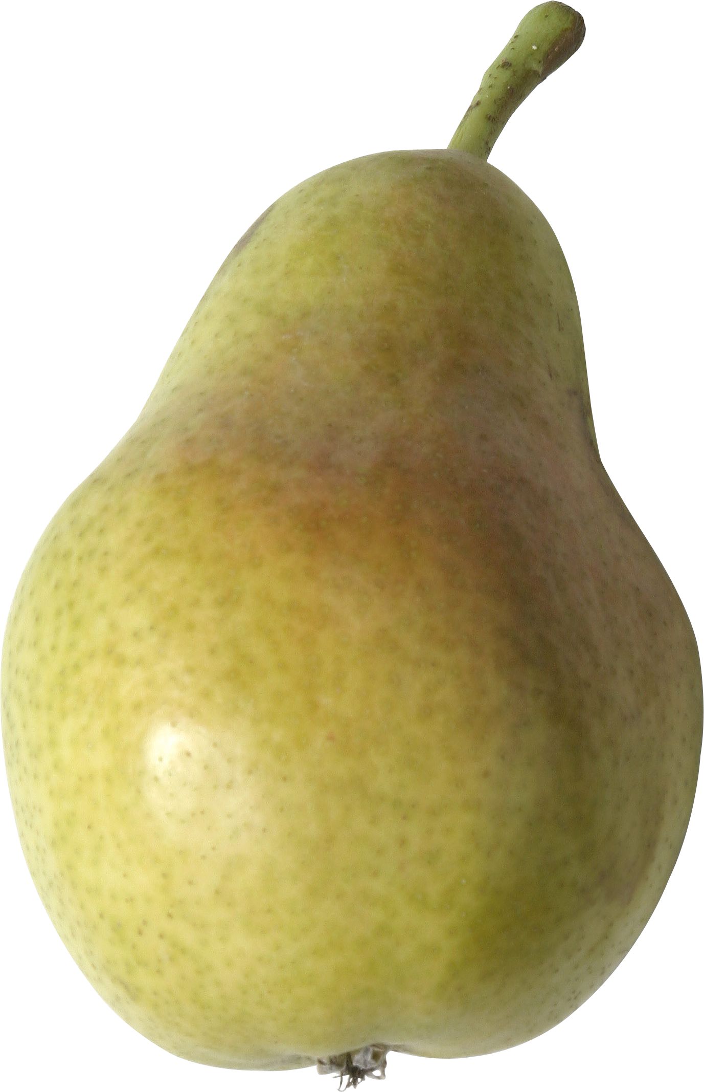 Single Pear PNG