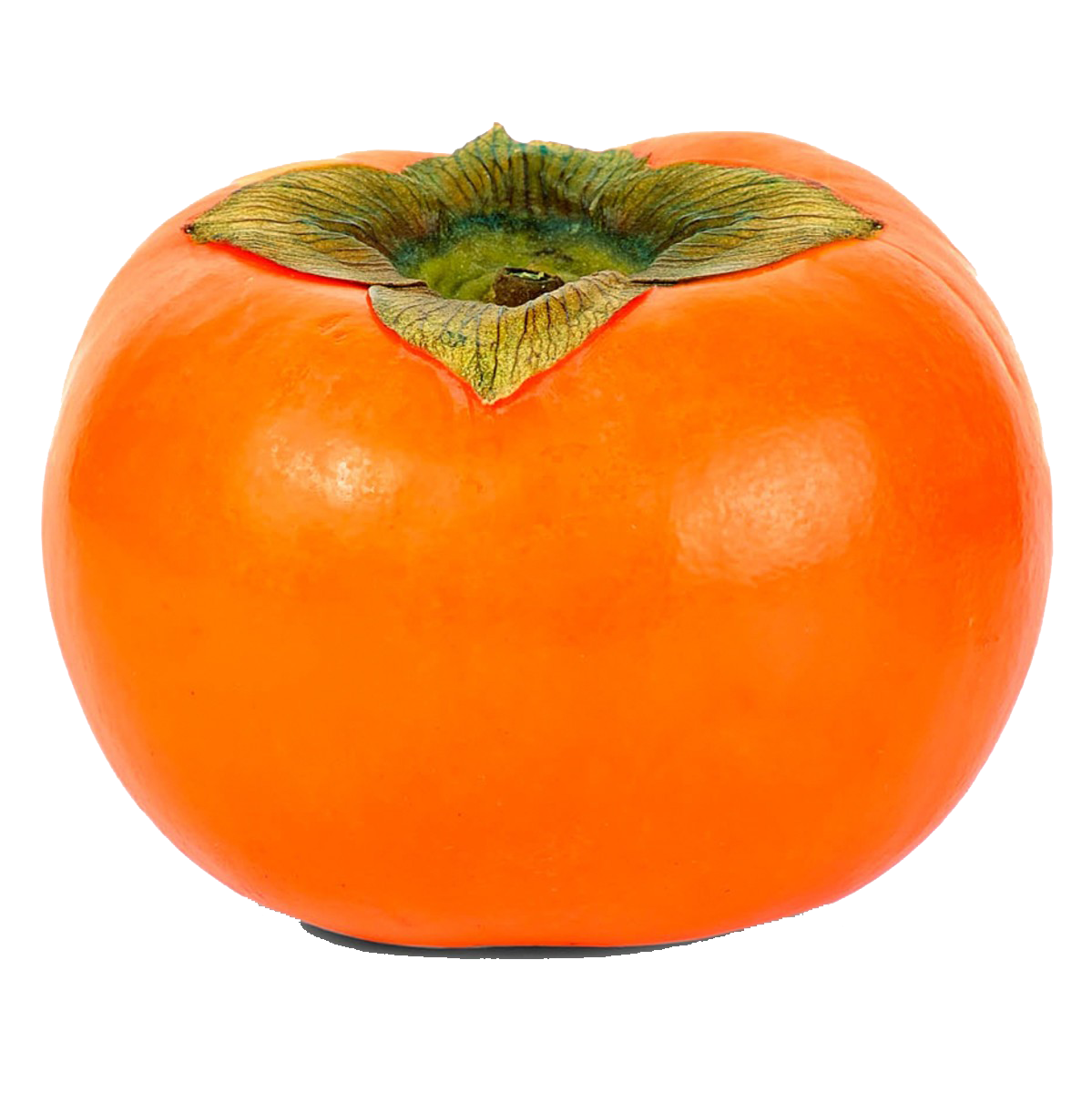 Single Persimmon PNG