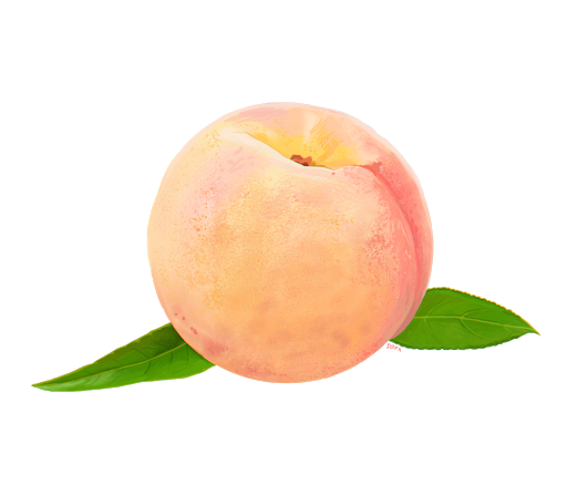 Single Pink Peach Transparent PNG