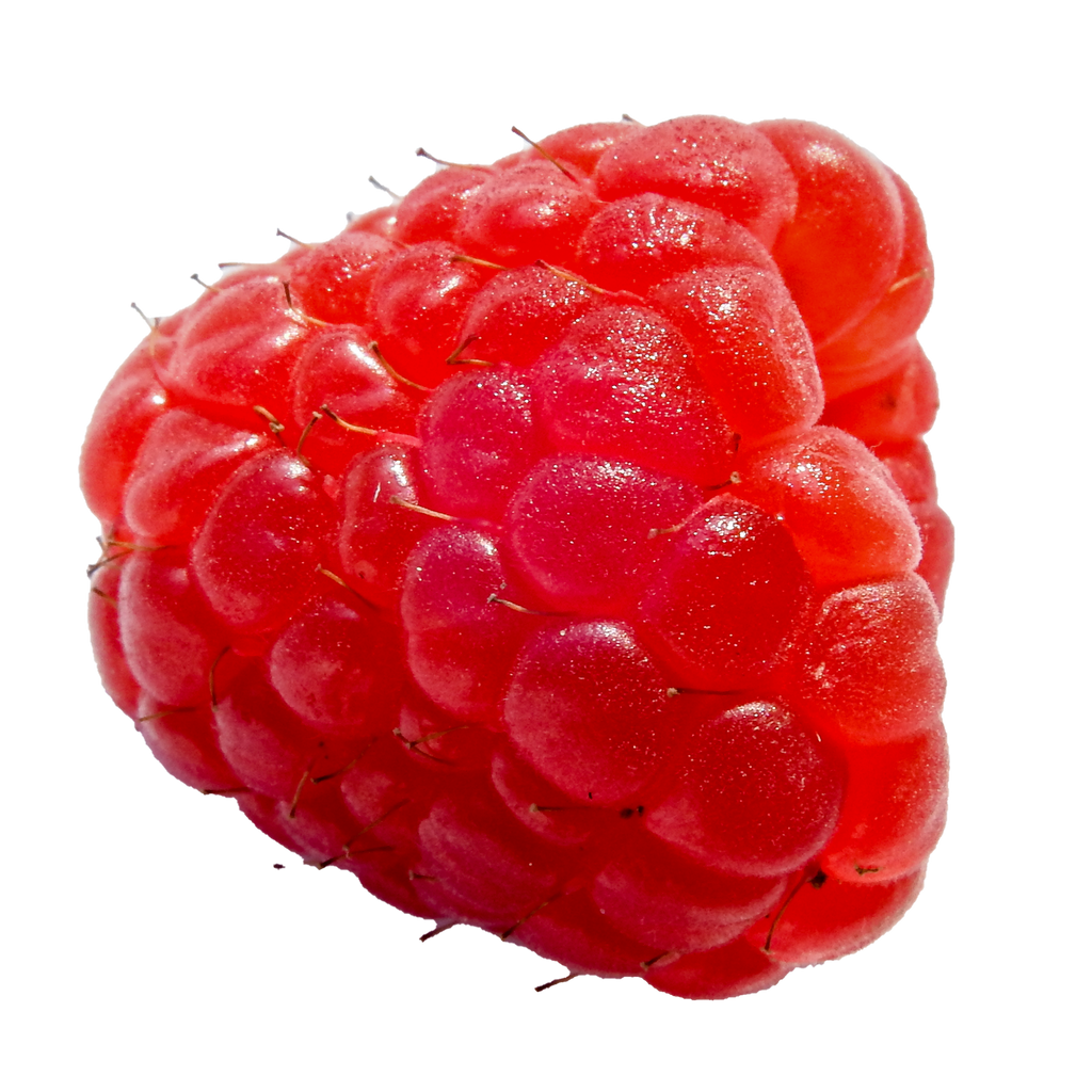 Single Raspberry PNG