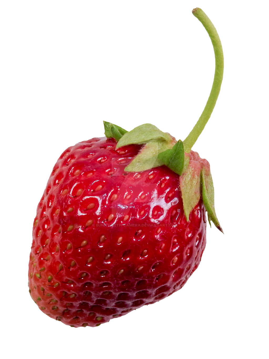 Single Raw Strawberry PNG