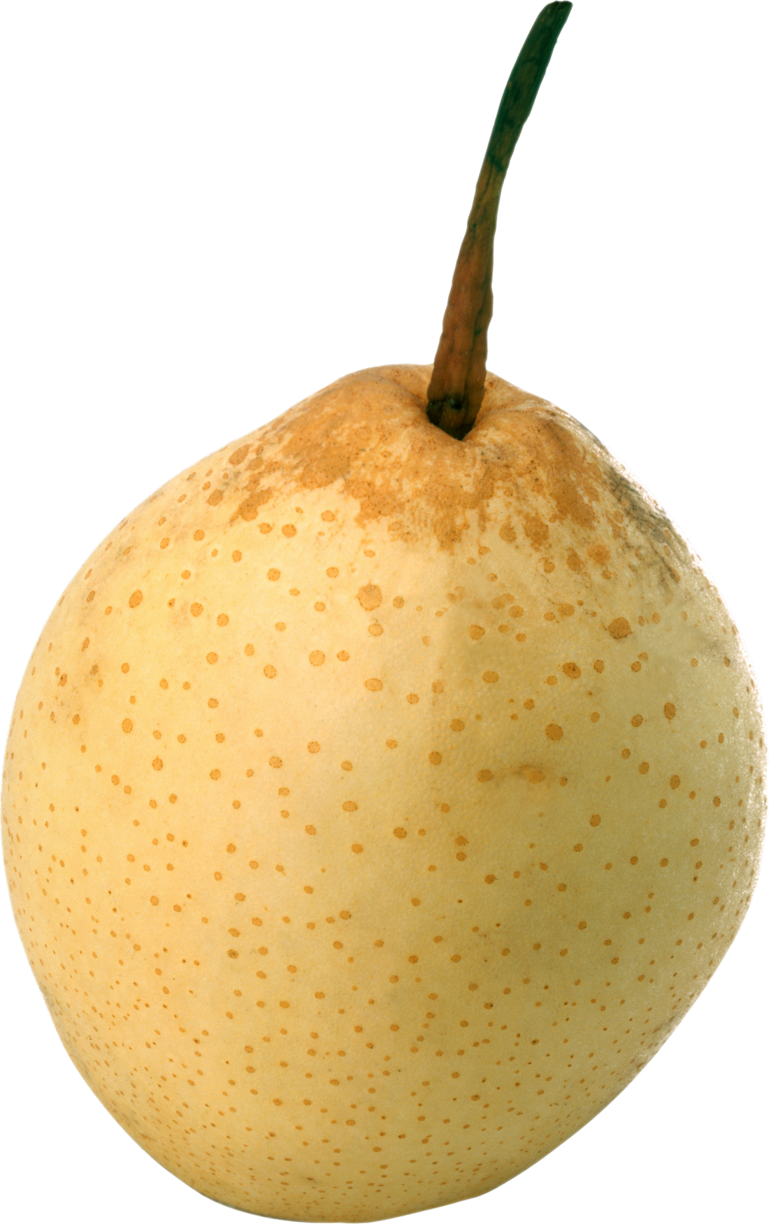 Single Yellow Asian Pear Transparent PNG