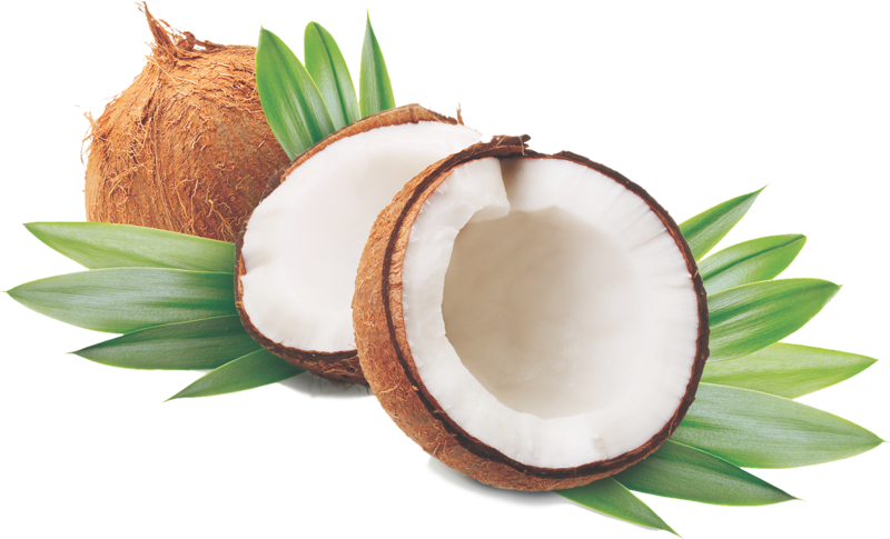 Sliced Native Coconut PNG