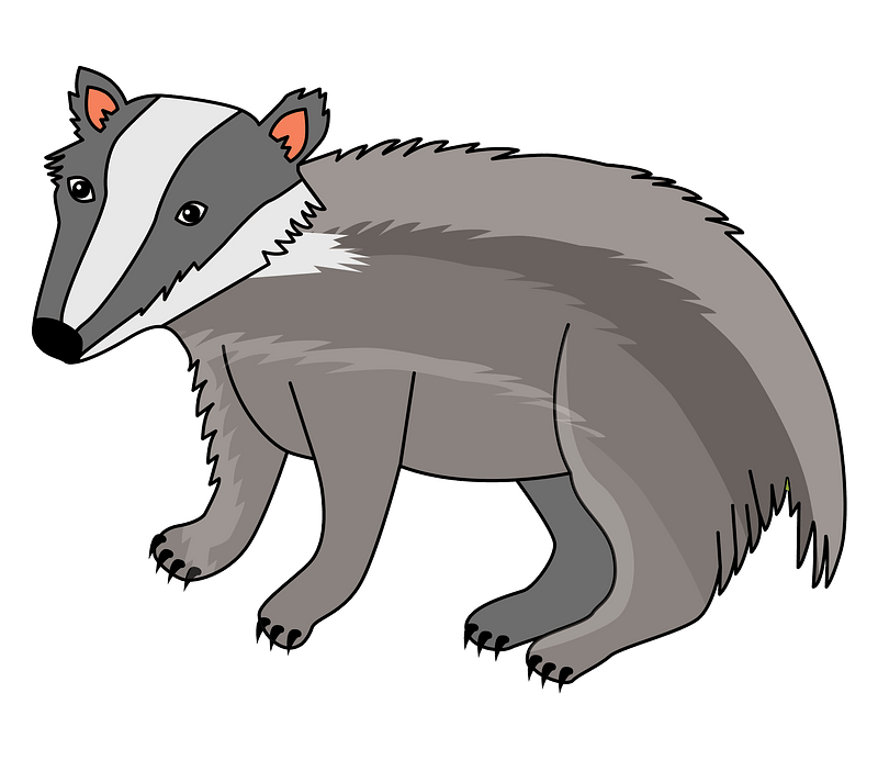 Small Badger Transparent PNG
