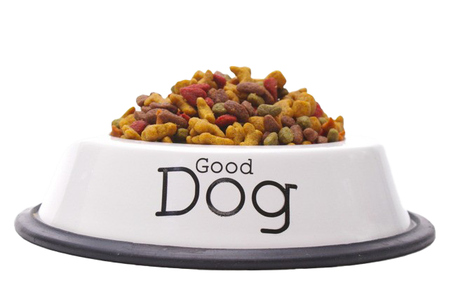 كلب صغير غذاء شفافة PNG
