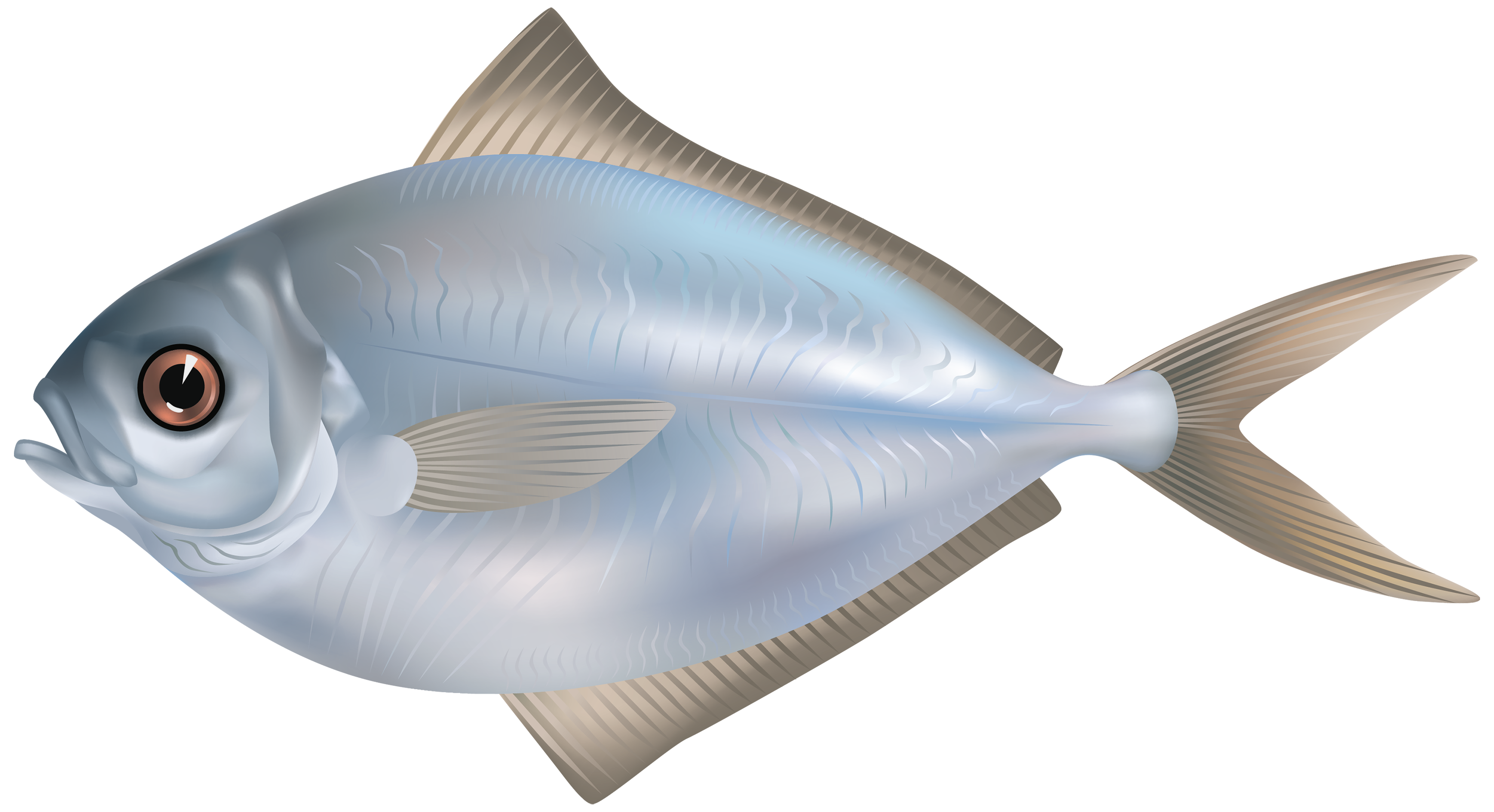 Small Fish PNG HD Quality