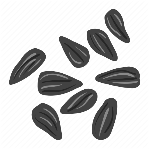 Sunflower Seeds Black Falling Transparent PNG
