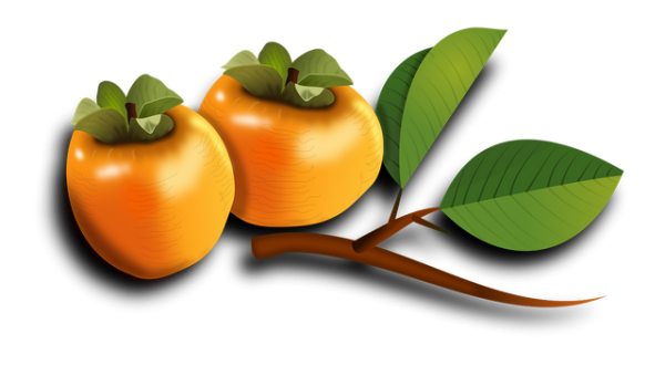 Sweet Persimmon Transparent PNG