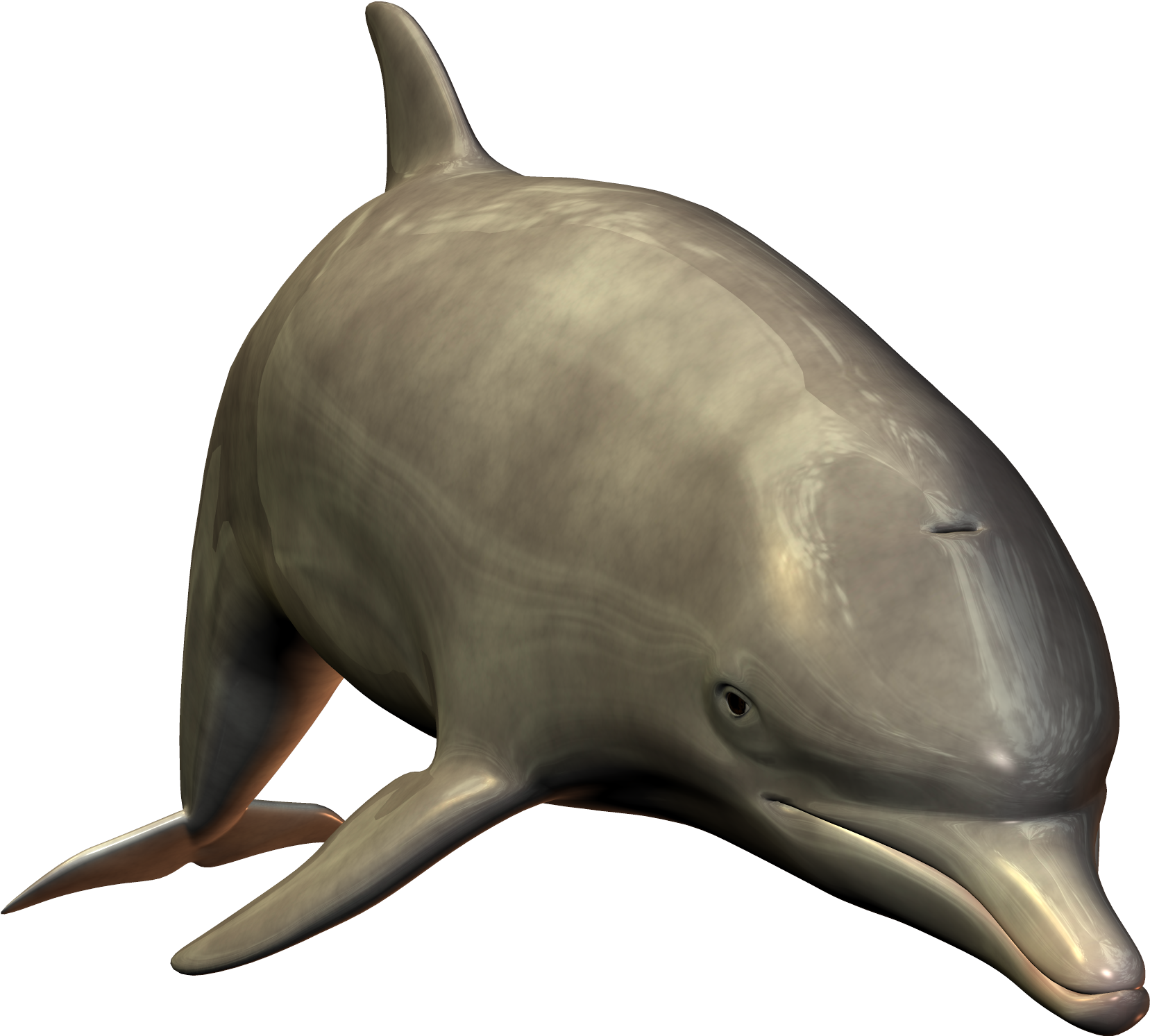 Swimming Dolphin Transparent PNG