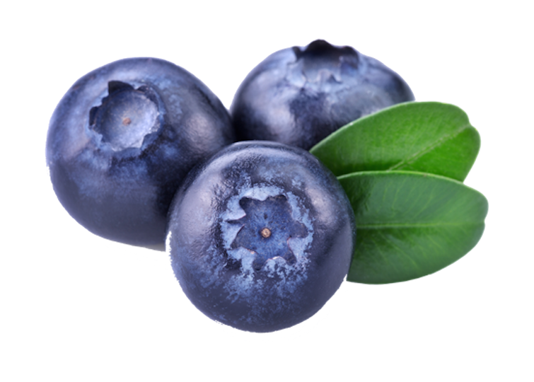Three Blueberries Transparent PNG