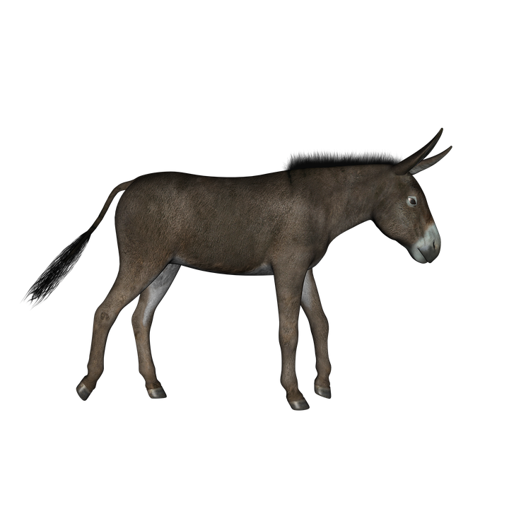 Tired Donkey Transparent PNG