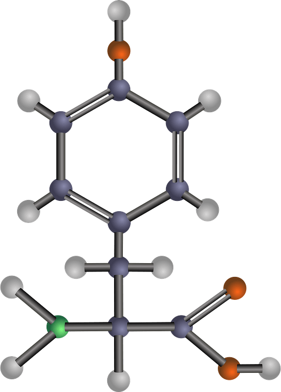 Tyrosine Amino Acid PNG
