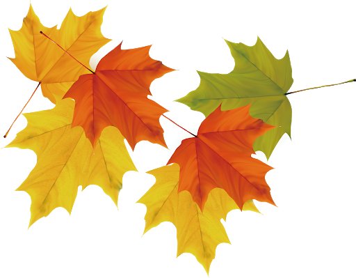 Vector Autumn Leaf Falling Colors Transparent PNG