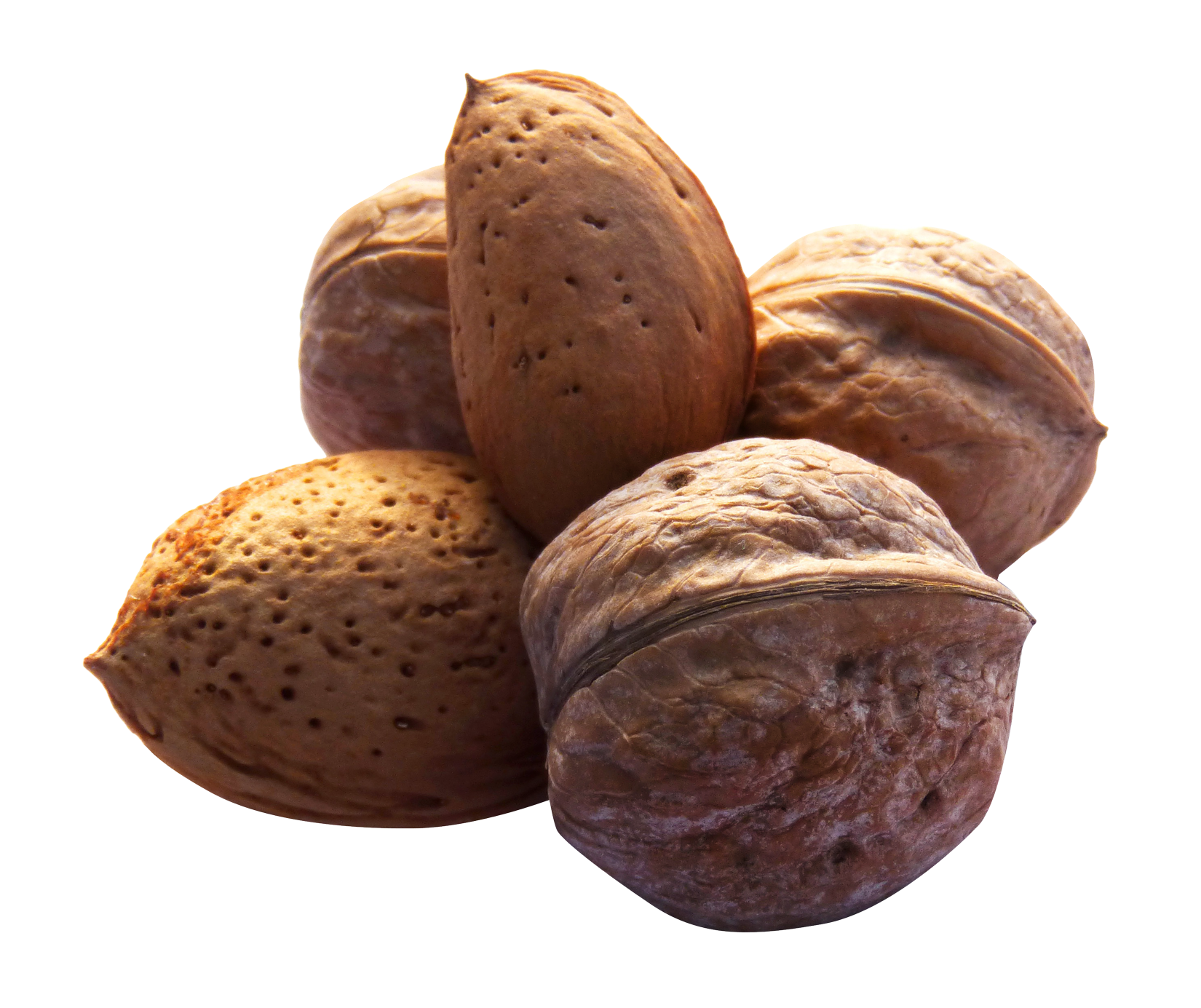 Walnuts Shell PNG