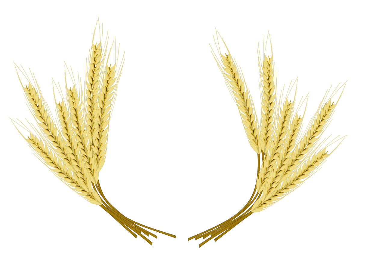 Wheat Barley Transparent File