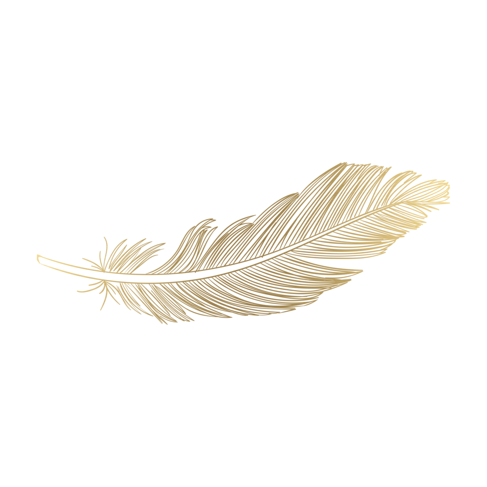 White Feather PNG Clipart Background