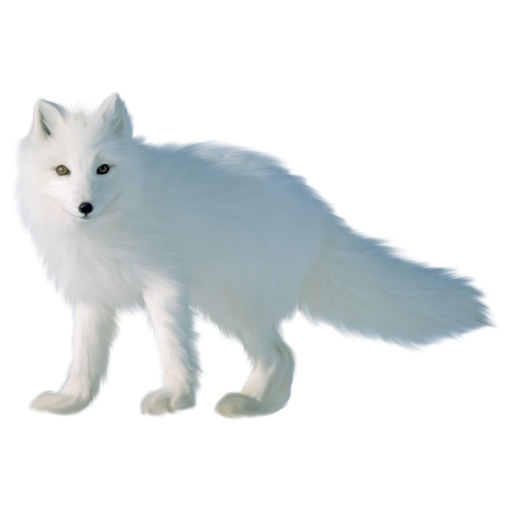 White Moving Arctic Fox Transparent PNG