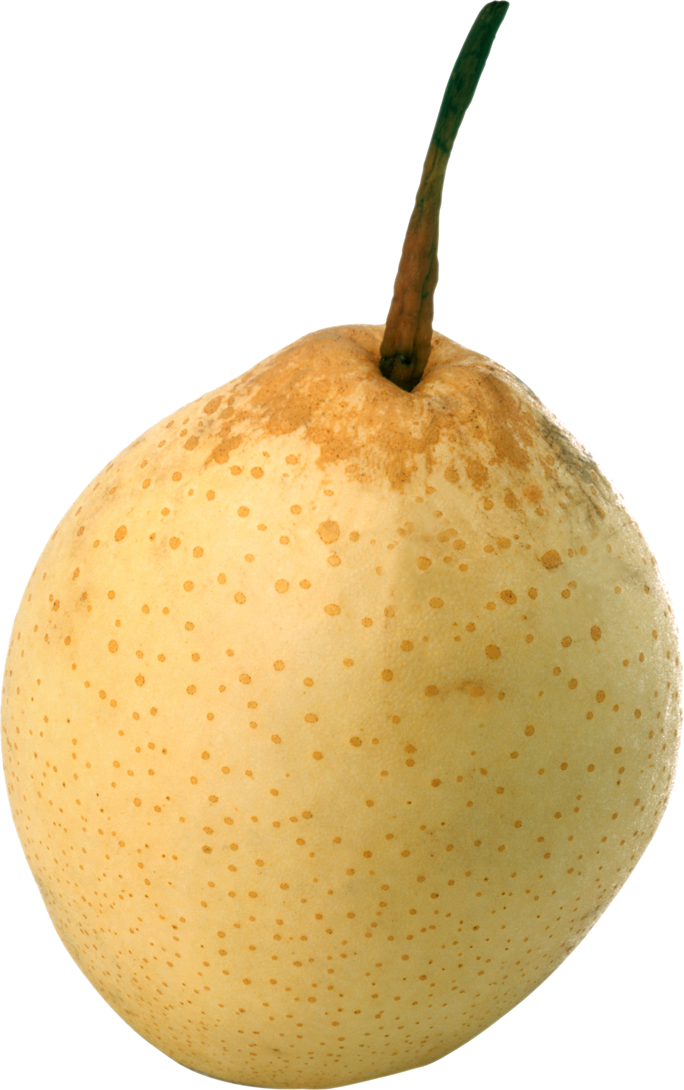 Yellow Asian Pear Transparent PNG