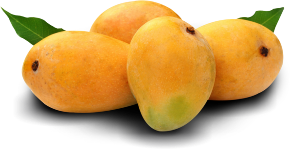Yellow Mango Fruit Transparent PNG