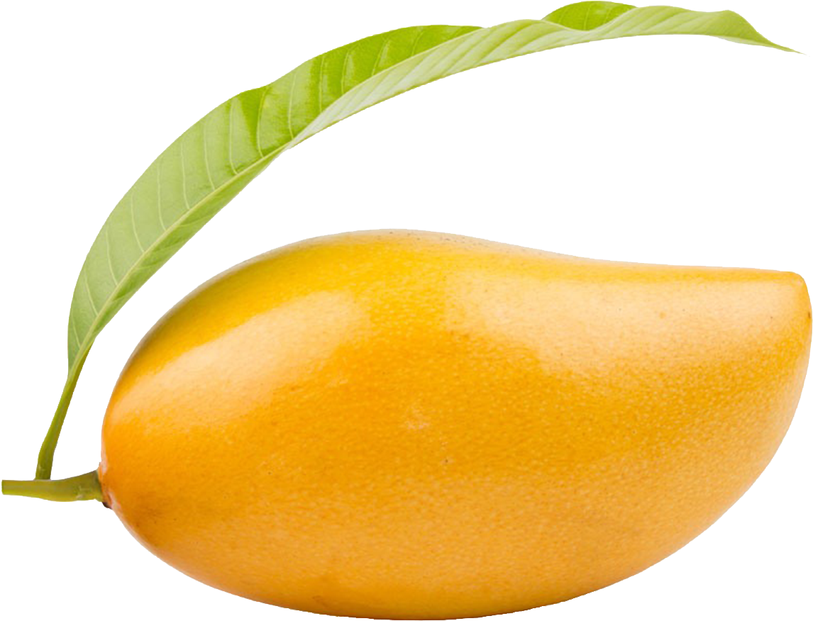 Yellow Shining Mango PNG