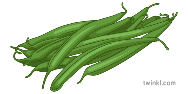 Beans Background PNG Image