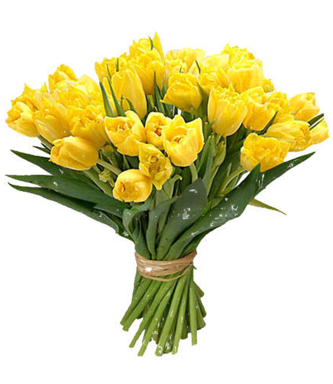 Bouquet Congratulation Flower Background PNG Image