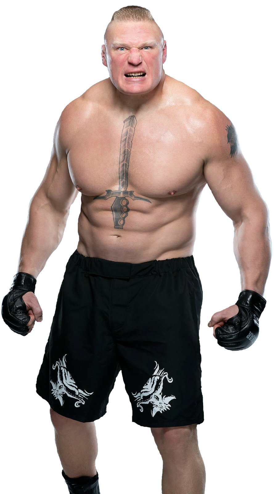 Brock Lesnar Wrestler PNG Clipart Background