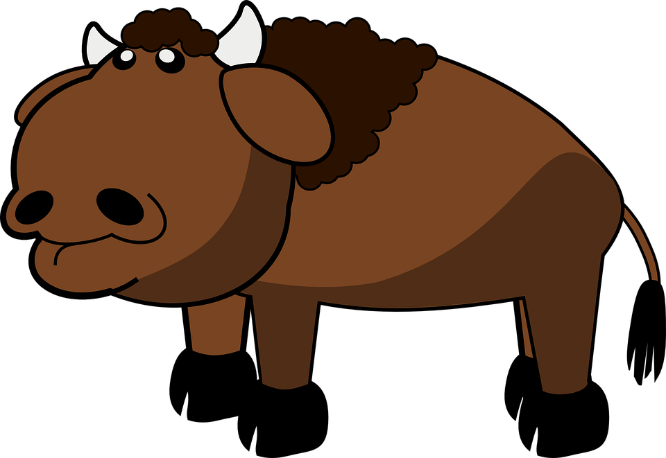 Buffalo Bison PNG Clipart Background