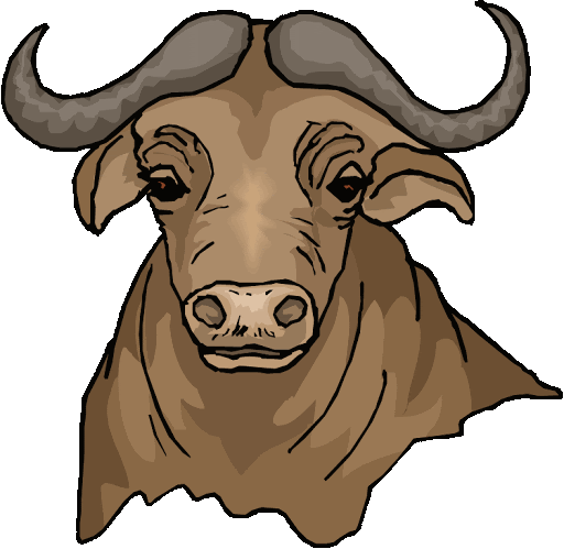 Buffalo PNG Clipart Background