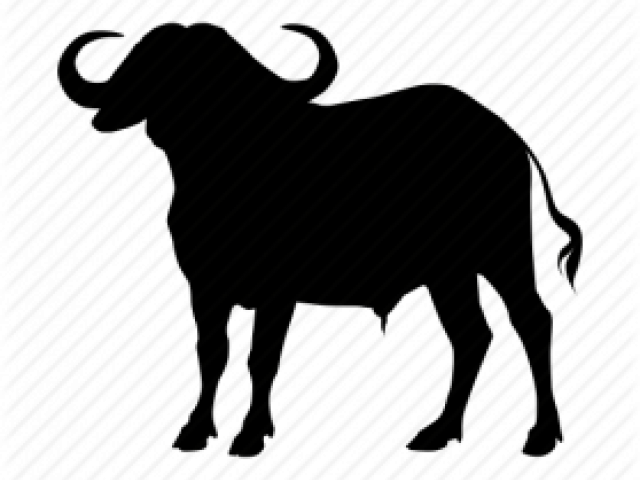 Buffalo Silhouette PNG Clipart Background