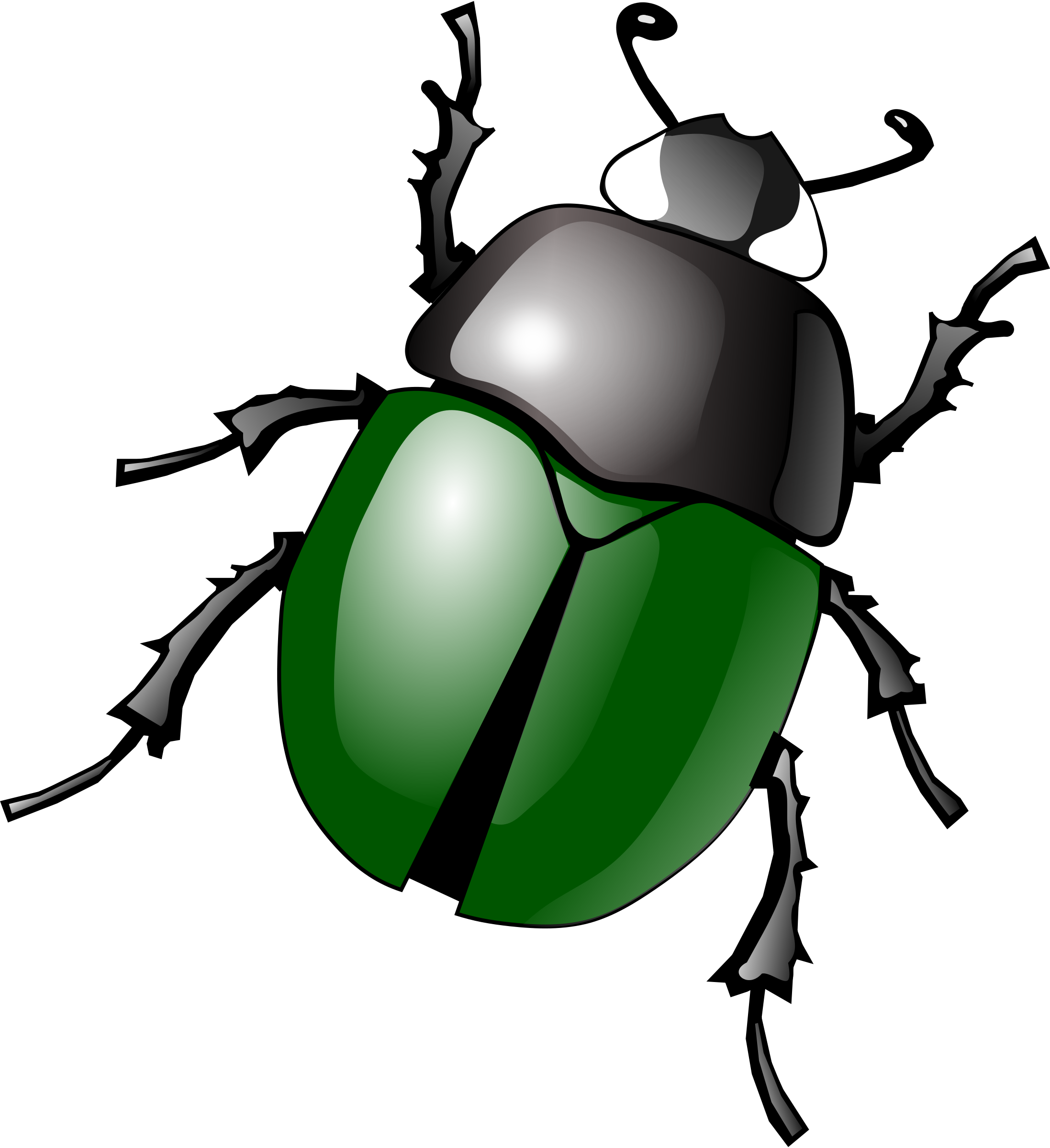 Bug Vector Latar belakang PNG gambar