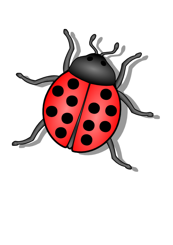 Bug Vector PNG HD Quality