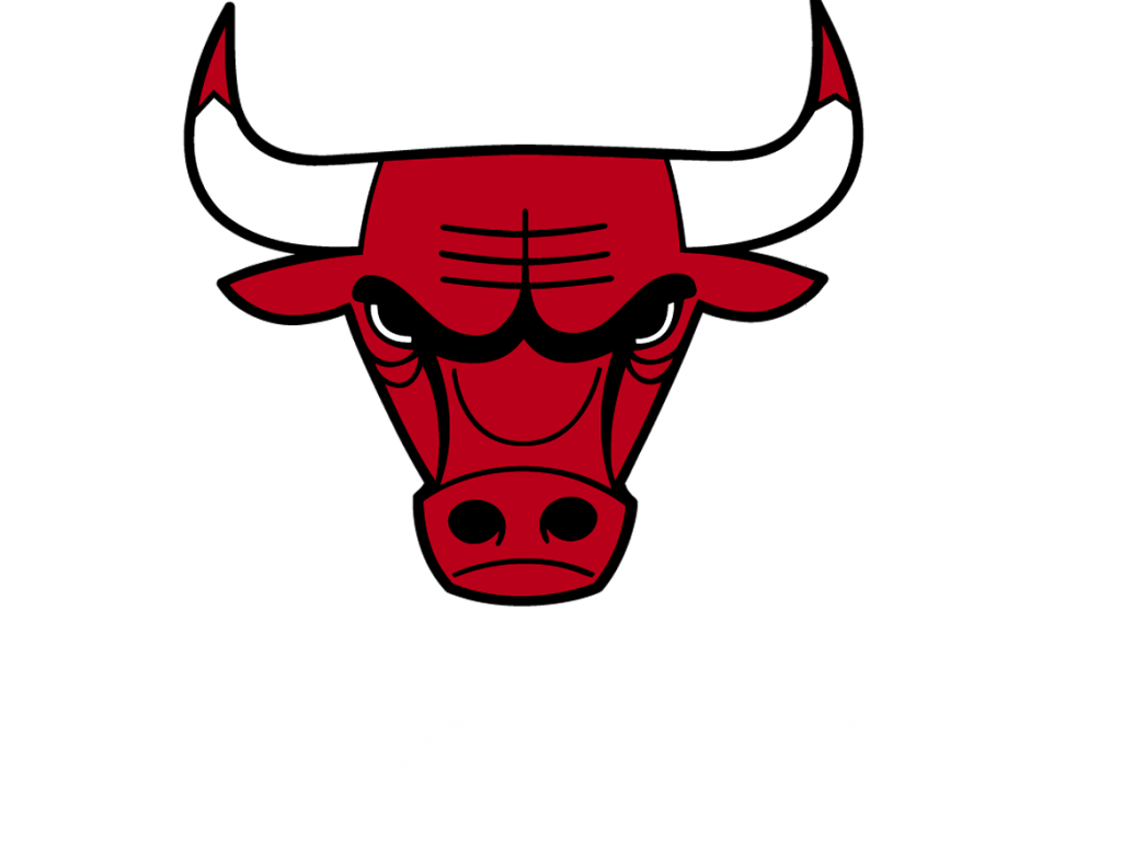Bull Logo PNG HD Quality