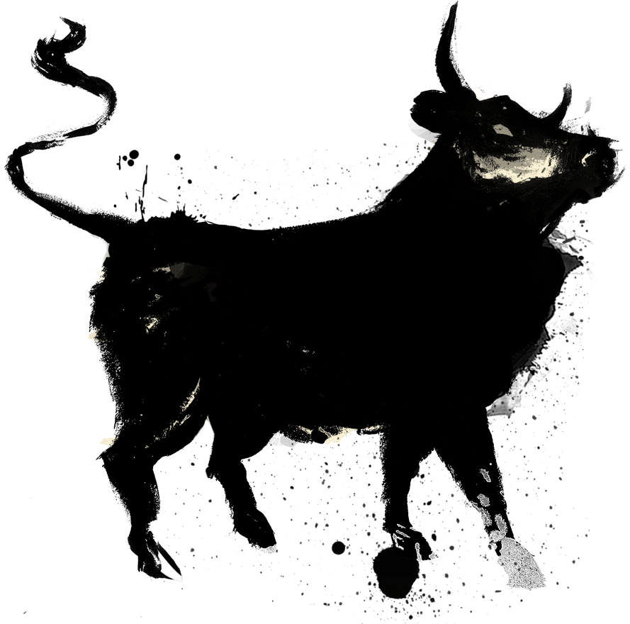 Bull Silhouette PNG HD Quality