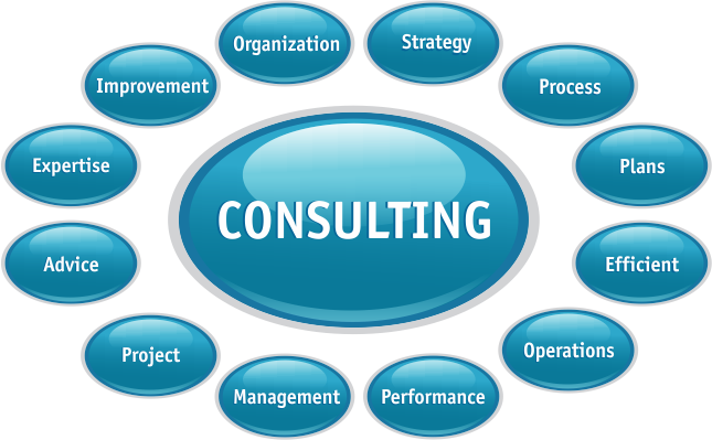Business Consultant Transparent Background