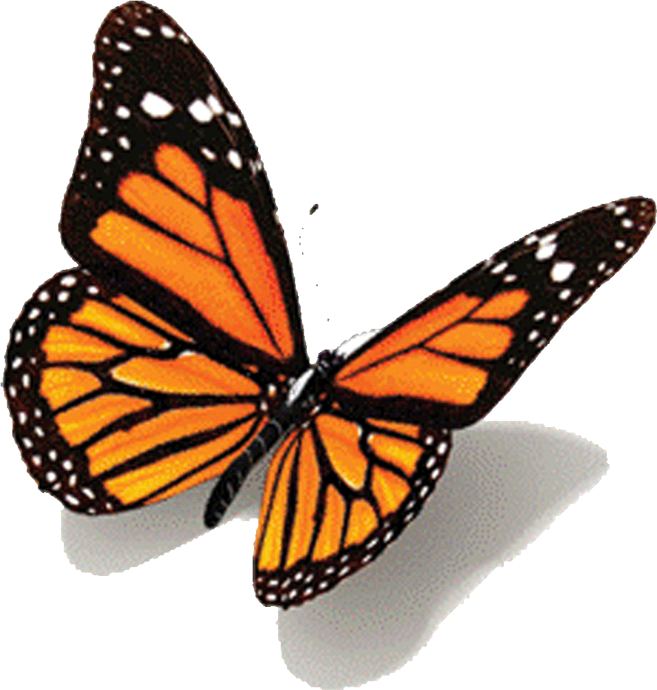 Butterfly Tattoo Design PNG Free File Download