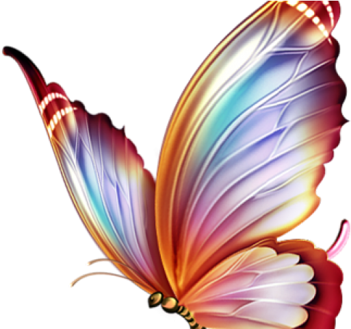 Butterfly Tattoo Design PNG HD Quality